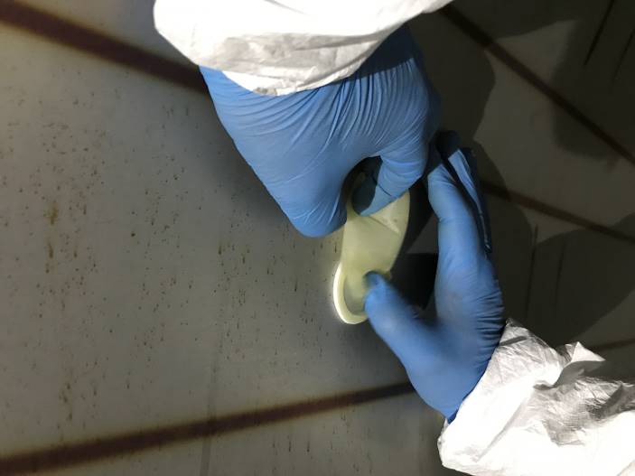 Mesure des chlorures, sulfates et nitrates solubles de surface
